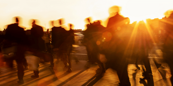 Lawcadia Connect Video